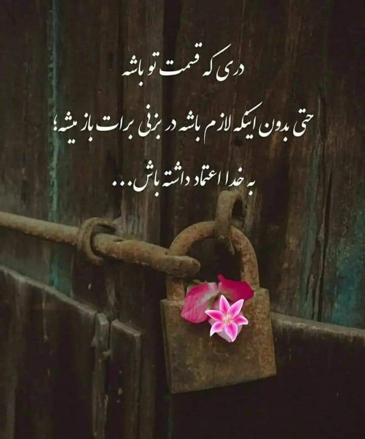 Hashmatullah tweet media