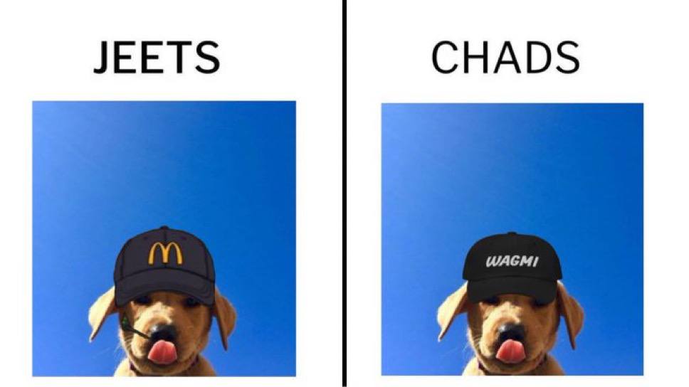 Wagmi Dog tweet media