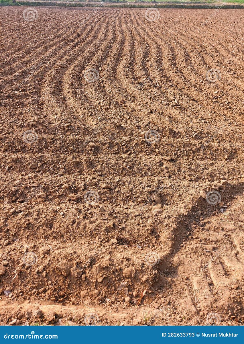 MUGABE__Robert's tweet photo. Land Preparation tip number 2 for #BeansProduction

• Determine the Soil Type.

• Clear the selected area off everything.

• Observe the drainage pattern of the area cleared. 
• Prepare the planting area to ensure adequate drainage, aeration &amp; space for root growth.
#TimelyLP https://t.co/ZkBff9QeVa