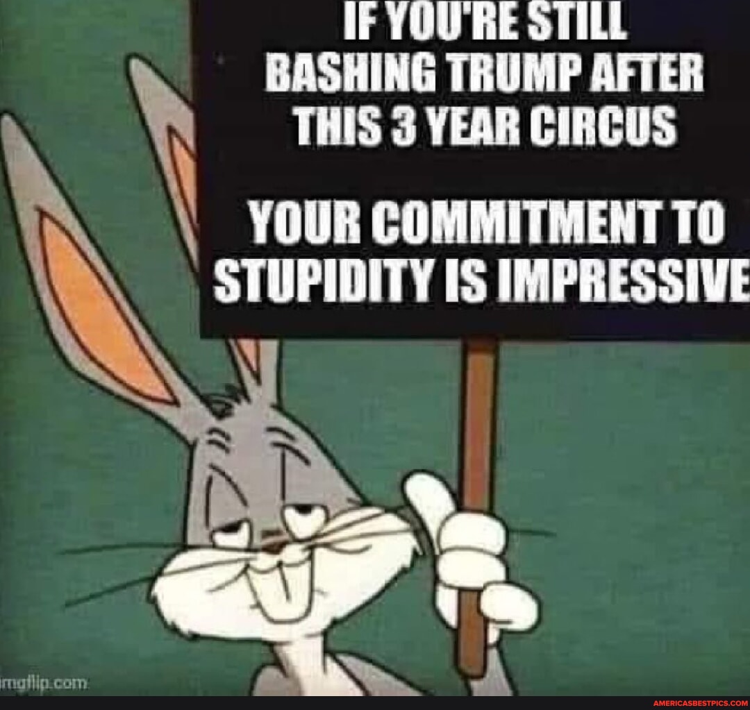 hdwrench51's tweet image. #youre #still #bashing 
americasbestpics.com/picture/WPzdbu…
#AmericasBestPicsAndVideos