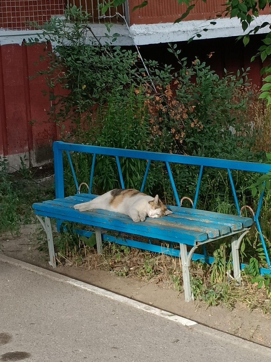 Какой шладкиййй янемогу