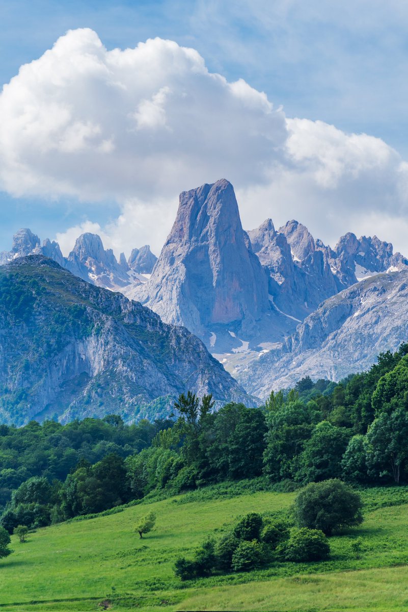 Joan 🇵🇸 tweet media