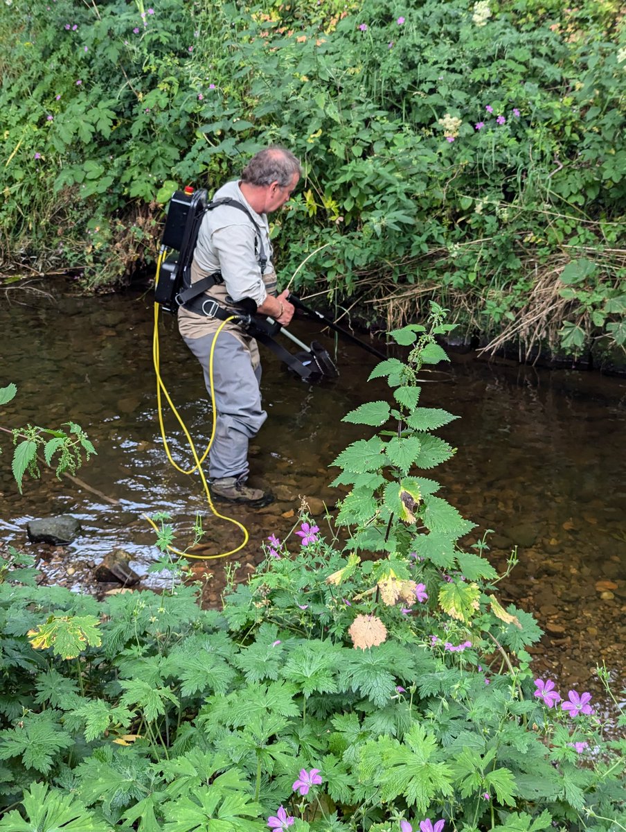 Alistair Boxall tweet media