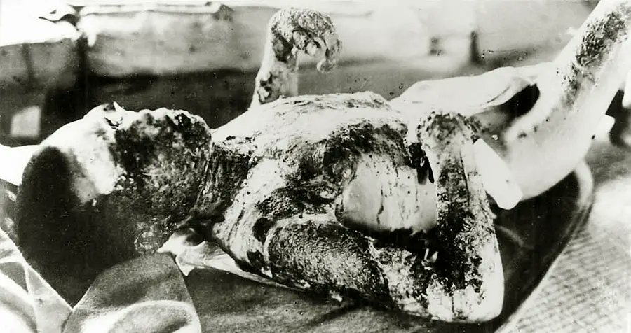 Berger Florian tweet media