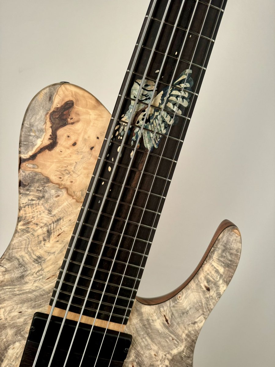 Look at this beauty from <a href="/FoderaGuitars83/">Fodera Guitars</a> #bass #guitars