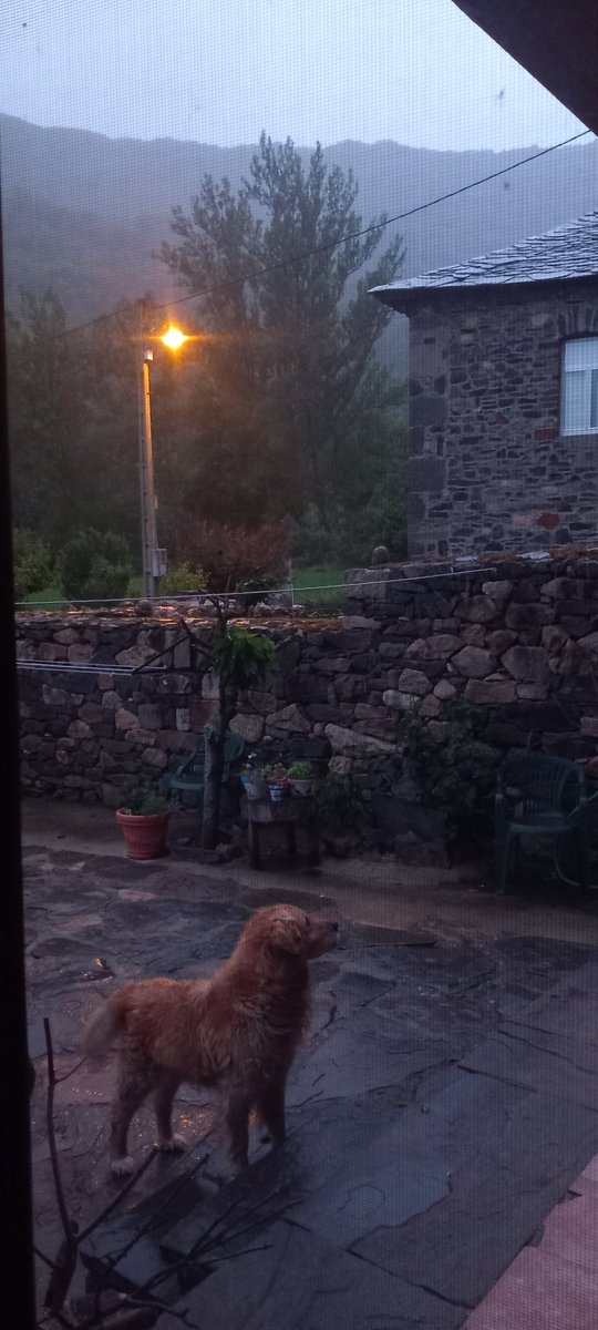 antonioybenina's tweet photo. Puedo prometer y prometo, que esta foto es de ahora mismo...
Aquí no sabemos lo que es el calor @tiempobrasero 🙏 dinos que vamos a pasar calor aunque solo sean 3 días seguidos de julio

Haz tu reserva....
☎️ 610752535
📧 antonioybenina@gmail.com 

#casaantonioybenina #laciana https://t.co/XRkOvOLxxS