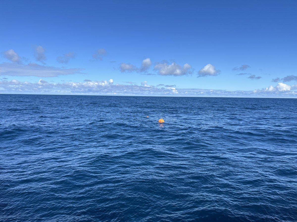 Today our 2nd telemetry mooring test started. Our buoy ‘FLOATY’ was used as simulator for autonomous robotics. Via satellite the team at #RRSDiscovery and even at <a href="/NOCnews/">National Oceanography Centre</a> Southampton successfully communicated and downloaded data from two moored instruments. <a href="/SAMSoceannews/">Scottish Association for Marine Science</a> #DY181