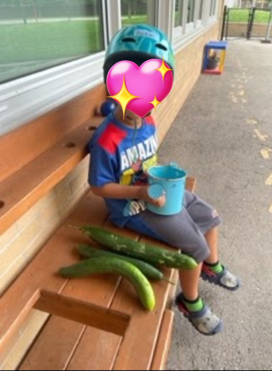 Big shoutout to one of our <a href="/KenolliePS/">Kenollie P.S.</a> students who stopped by to water our Kindergarten Learning Garden! The family shared this beautiful photo. Thank you for tending to our garden these past few weeks. 💕🥒
