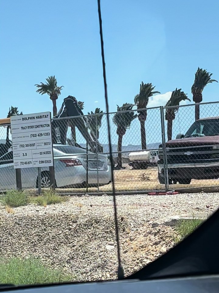 Las Vegas Locally 🌴 tweet media