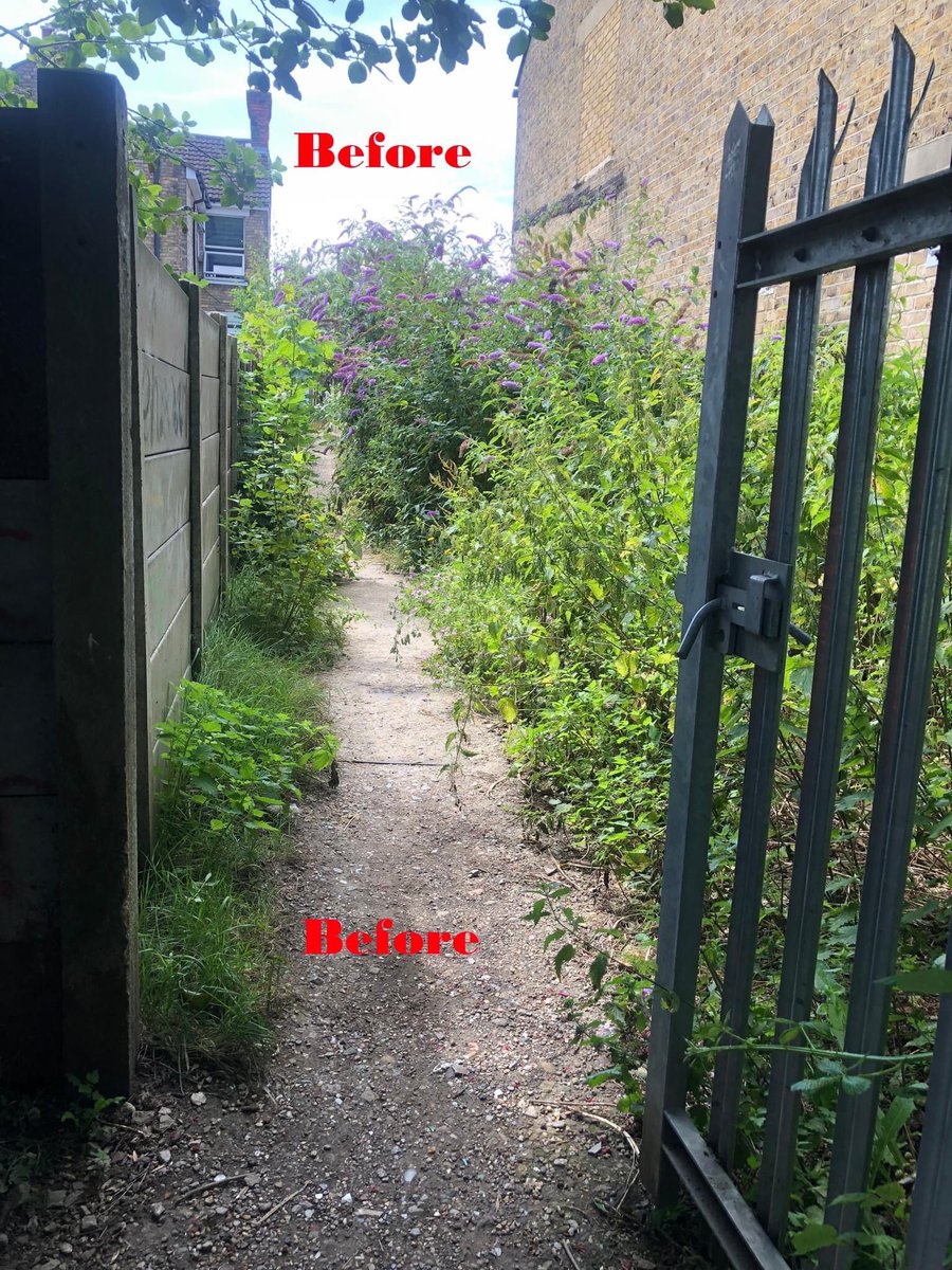 Dinesh Khadka tweet media