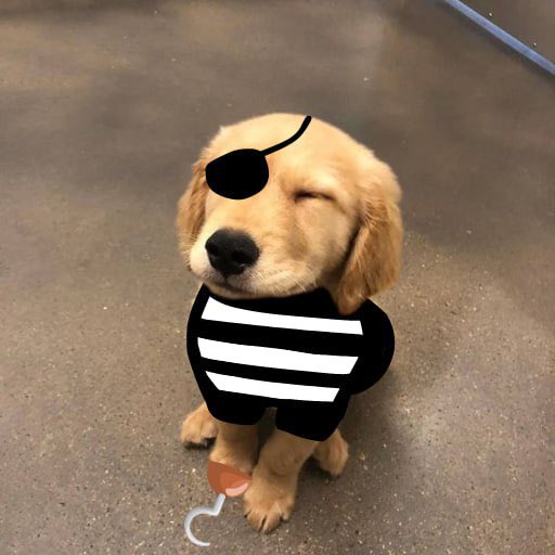 MrFlare007's tweet photo. @Regrets10x $GOLDY IS THE 1! The goodest dog on solana #GOLDY BULLISH CTO AFTER DEV LEFT AND NOW WE ARE REBUILDING 💪🦮🚀
@GOLDYCTOSOLANA  

Ca BCP3tdCpDGyNzcgi8s2abF4EqVzjGQWkhx6xJFDApump

Dropped yesterday and already listed on CMC. Would not fade goldy #billy uncle who winks https://t.co/qiueSBUqzP