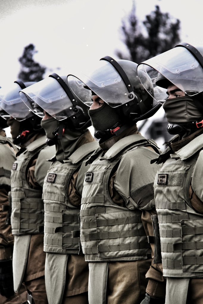 Carabineros de Chile tweet media