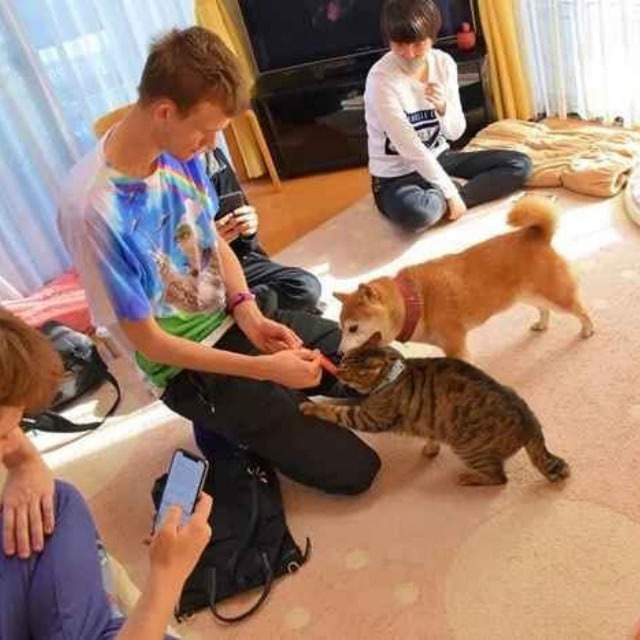 hi, i'm $GINNAN and vitalik loves me more ..

Ca: 0x00005A6BB1CdAE1c1142Cea2471618f5924bB204

t.me/ginnancaterc20
ginnancaterc20.com