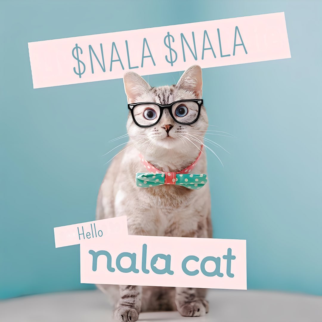 Nala Cat $NALA tweet media