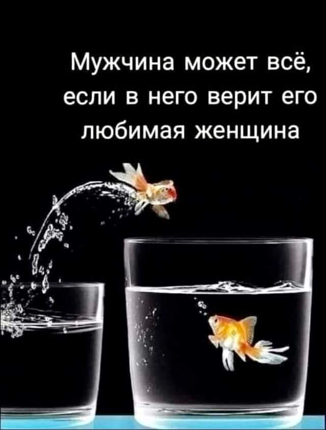 klimenko2012's tweet image. 