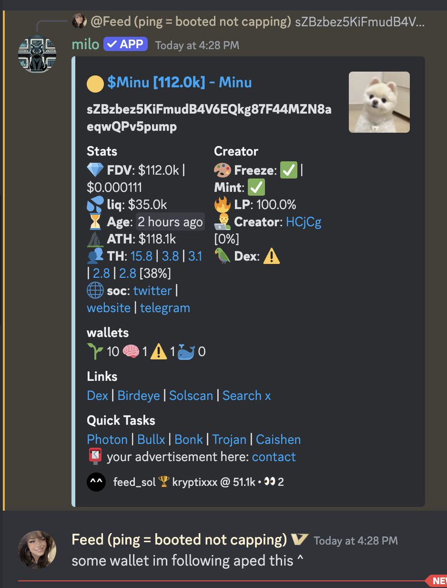 Feed tweet media