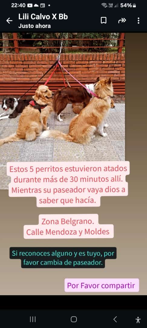 Tabyta201's tweet photo. 🚨CAMBIEN DE PASEADOR!!!!!! NO LA ESTÁN PASANDO BIEN!!! PENSARON CÓMO SERA EL VERANO???? https://t.co/54u83X8cQU