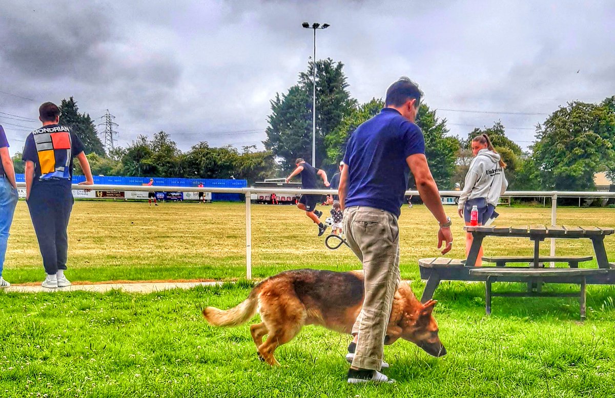 Escaped dog on pitch at Avonmouth causing referee to blow early for half-time. Captured and put in the pay hut (an act of genius!). Soon reunited with owner; escorted from the ground. Banning order?  

<a href="/AvonmouthFC/">Avonmouth FC</a> <a href="/PortisheadTown/">Portishead Town FC 🏆🏆 DOUBLE (C)</a> <a href="/swsportsnews/">South West Sports News</a> <a href="/nonleaguedogs/">nonleaguedogs</a> <a href="/NonLeagueDogs_/">Dogs of Non League</a>