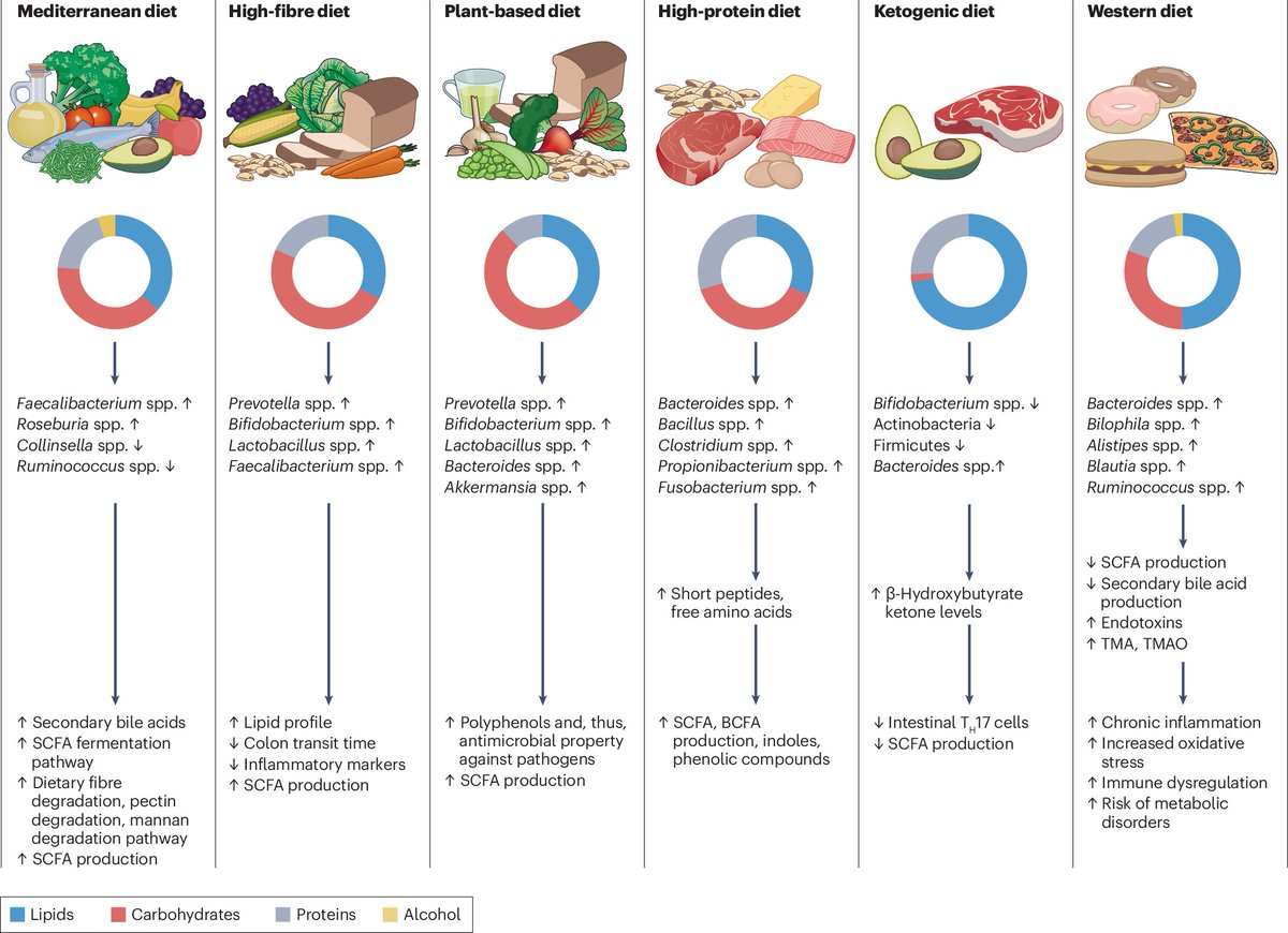 A Review in <a href="/NatureRevMicro/">Nature Reviews Microbiology</a> explores how geographical location affects the gut microbiome and how different diets shape its composition and function. 🔒 
go.nature.com/3WsawDw