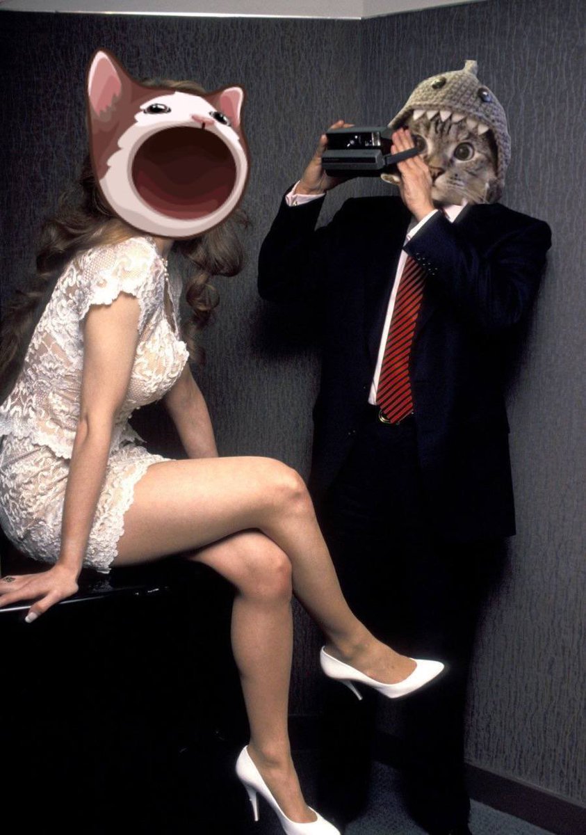 A rising pop lifts all cats. 🦈🐱💥
First of many Billion Dollar Cat Coins on Solana.