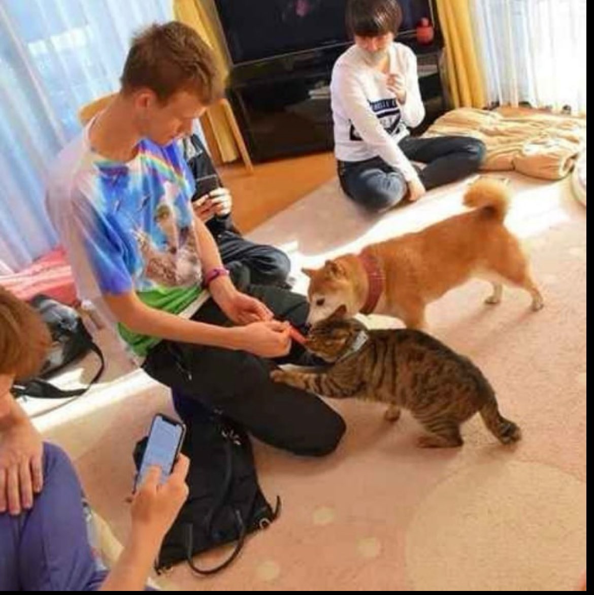 <a href="/Thorshammergems/">This account is no longer active.</a> Yo Thor, vitalik’s cat $Ginnan just launched on ETH.

let’s send it. <a href="/ginnaneth/">$GINNAN</a>