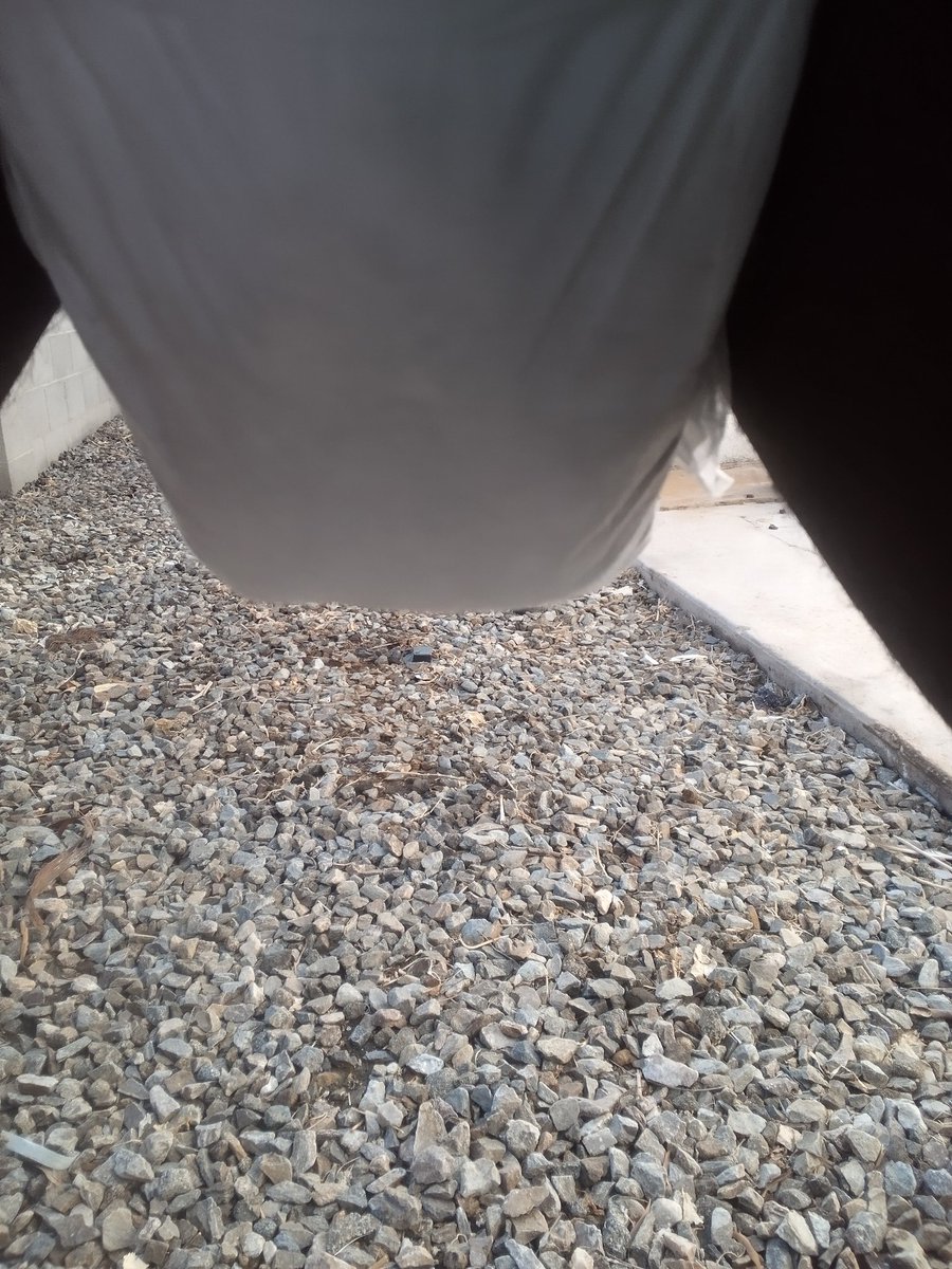 CrawlingLettuce's tweet photo. CW: Messing 
I had used an enema to clear my constipation, but I think it worked a little too well.😳 https://t.co/MxRQYWX4np