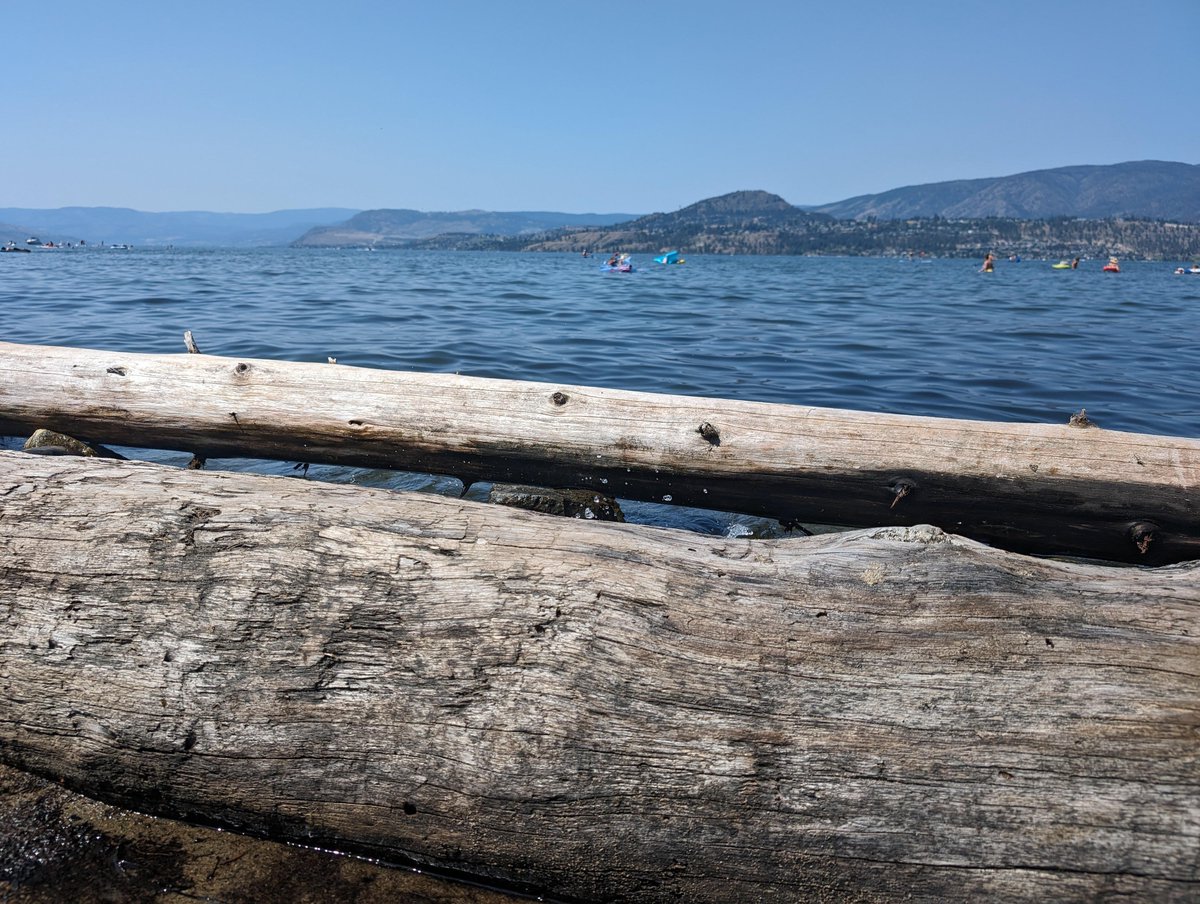 CDNBVRX's tweet photo. Hey guys!! Just went for a swim and managed to get these logs to shore. Can someone help get them to my car?
#Solanasummer24 #CDNBVR #lake #lakelife
#dexscreener #SolanaCommunity
Check my coin CA:4mD8BjssoDYKqoiXfAAMRbGu21pc6JbK72AiPBrFsqre
Follow for my adventures. https://t.co/vBGpo9BozZ