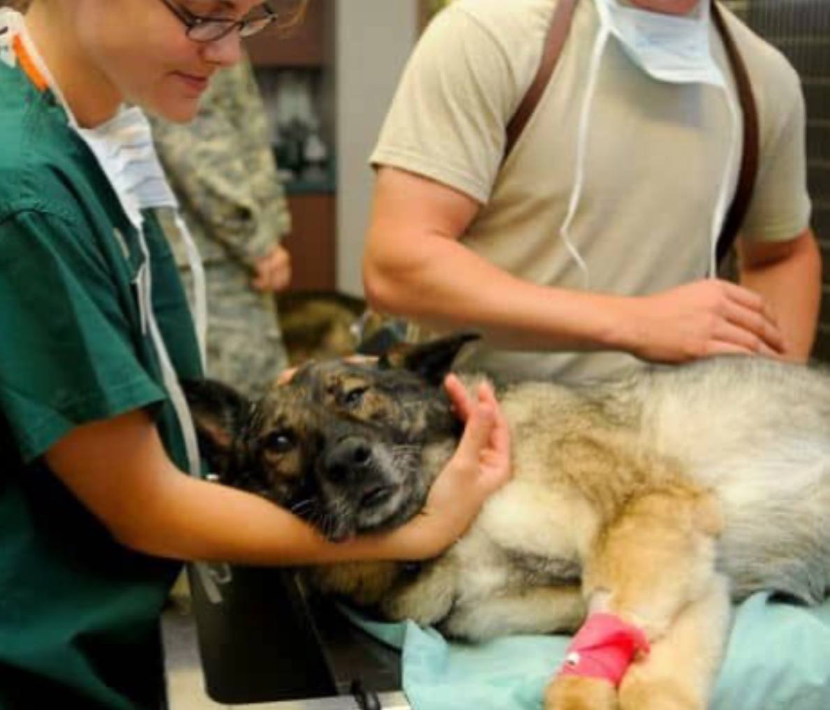 Please don't swipe past without sending him some love and prayers! ❤