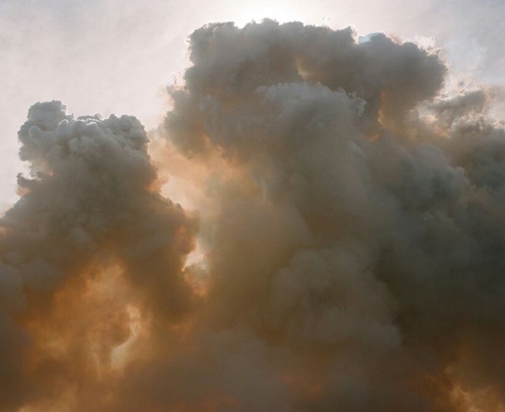 Alya Malfoy tweet media