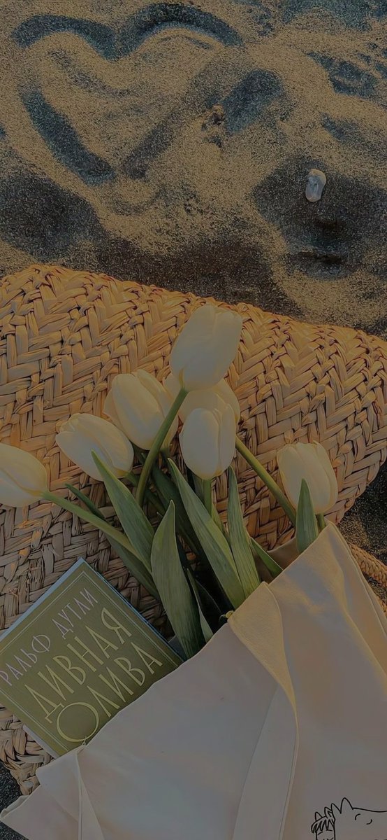 Alya Malfoy tweet media