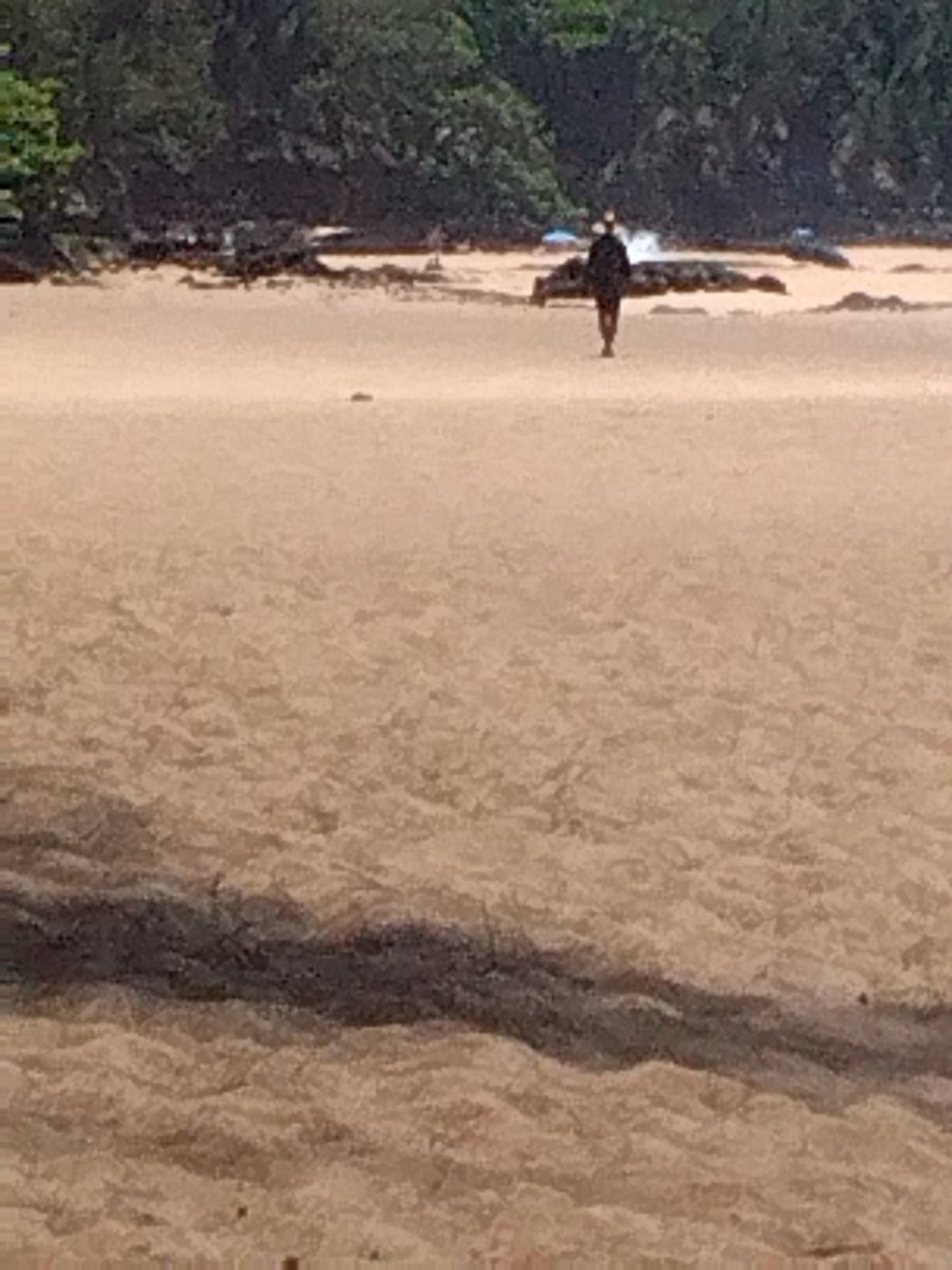 Yesterday, a right wing MAGA thug threatened to kill me at Secret Beach, Kauai because I am progressive and inclusive. He screamed at me f*gg*t even though I am straight. I want to know his identity. He had teal shorts, fanny pack thing around his shoulder, light blue. Violent.