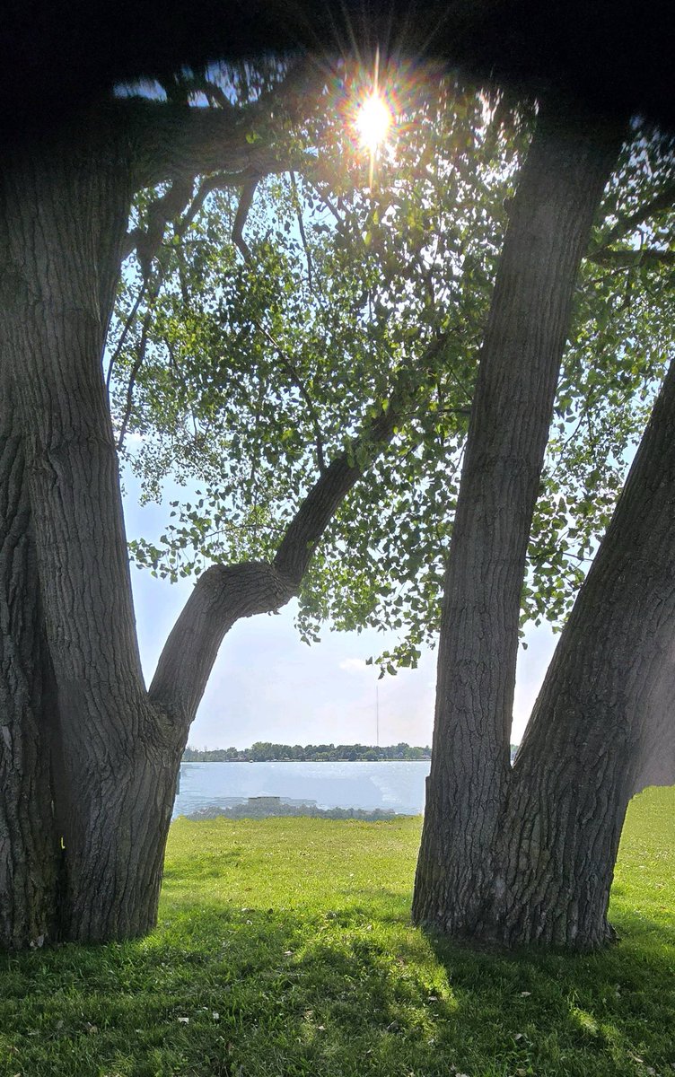 Fred Betti Sj tweet media