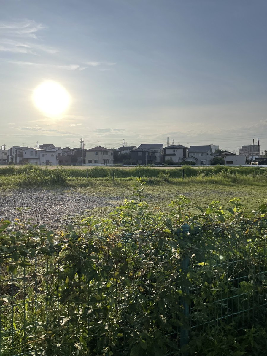narabito35's tweet photo. おはようございます😃

朝んぽ🚶
梅雨も明けて夏本番ですね！本日も頑張りましょう💪

#ダイエット
#朝活 https://t.co/sUfvAfkCzN