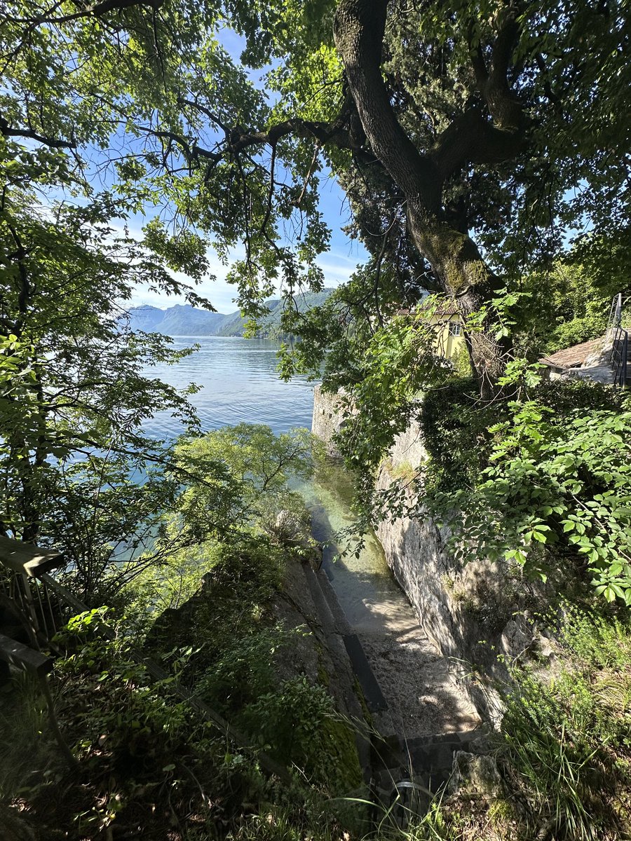 Mariana Mazzucato tweet media