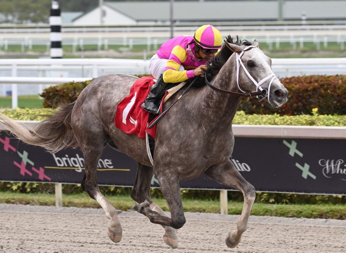 battlecrazewu's tweet image. The “Big Grey Train”  🚂 is back with a bang #TapitTrice