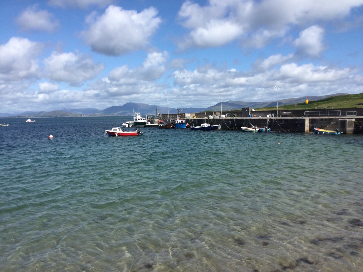 Katherine Mendelsohn🕷🐟@katherinemend.bsky.social tweet media