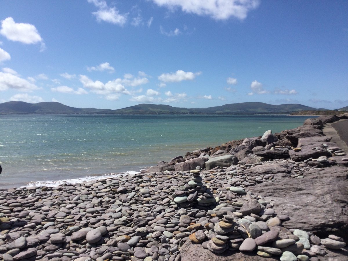 Katherine Mendelsohn🕷🐟@katherinemend.bsky.social tweet media