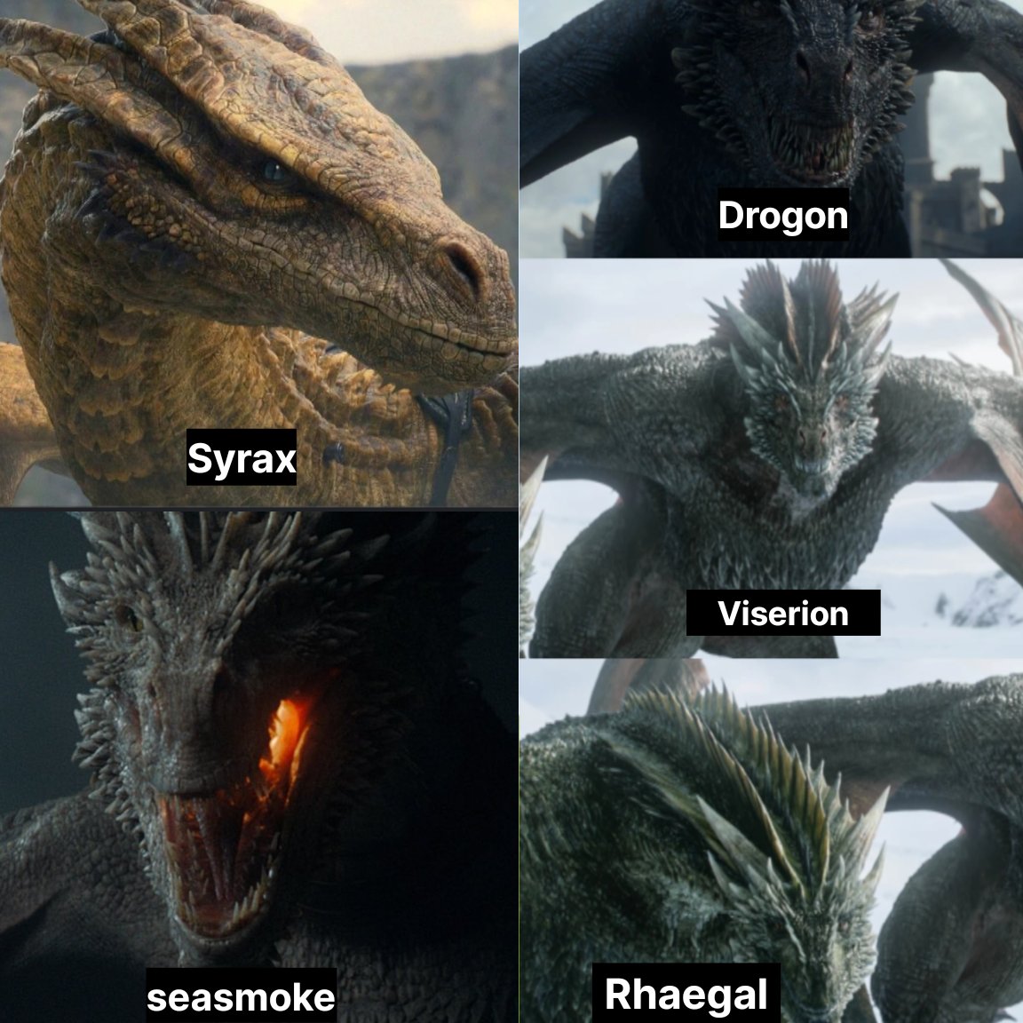 ayyyooo0305's tweet photo. Syrax and Seasmoke did what Rhaenyra and Laenor couldn't 😭 https://t.co/YVT65K3DQ3