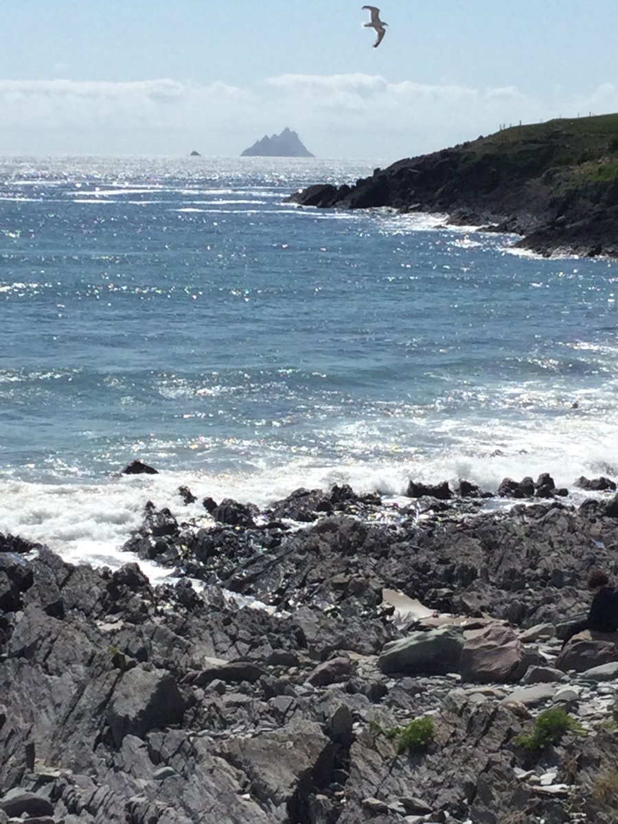 Katherine Mendelsohn🕷🐟@katherinemend.bsky.social tweet media