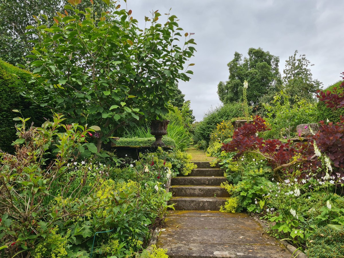 Littletheorem's tweet photo. Last day of the holidays! A bit of light knitting and a walk round Braco Castle Gardens. Back in Glasgow now and it's chucking it down with rain, classic West Coast antics 🤷‍♀️ #SummerKnitting #KnittingTwitter https://t.co/vj23cv68Ud