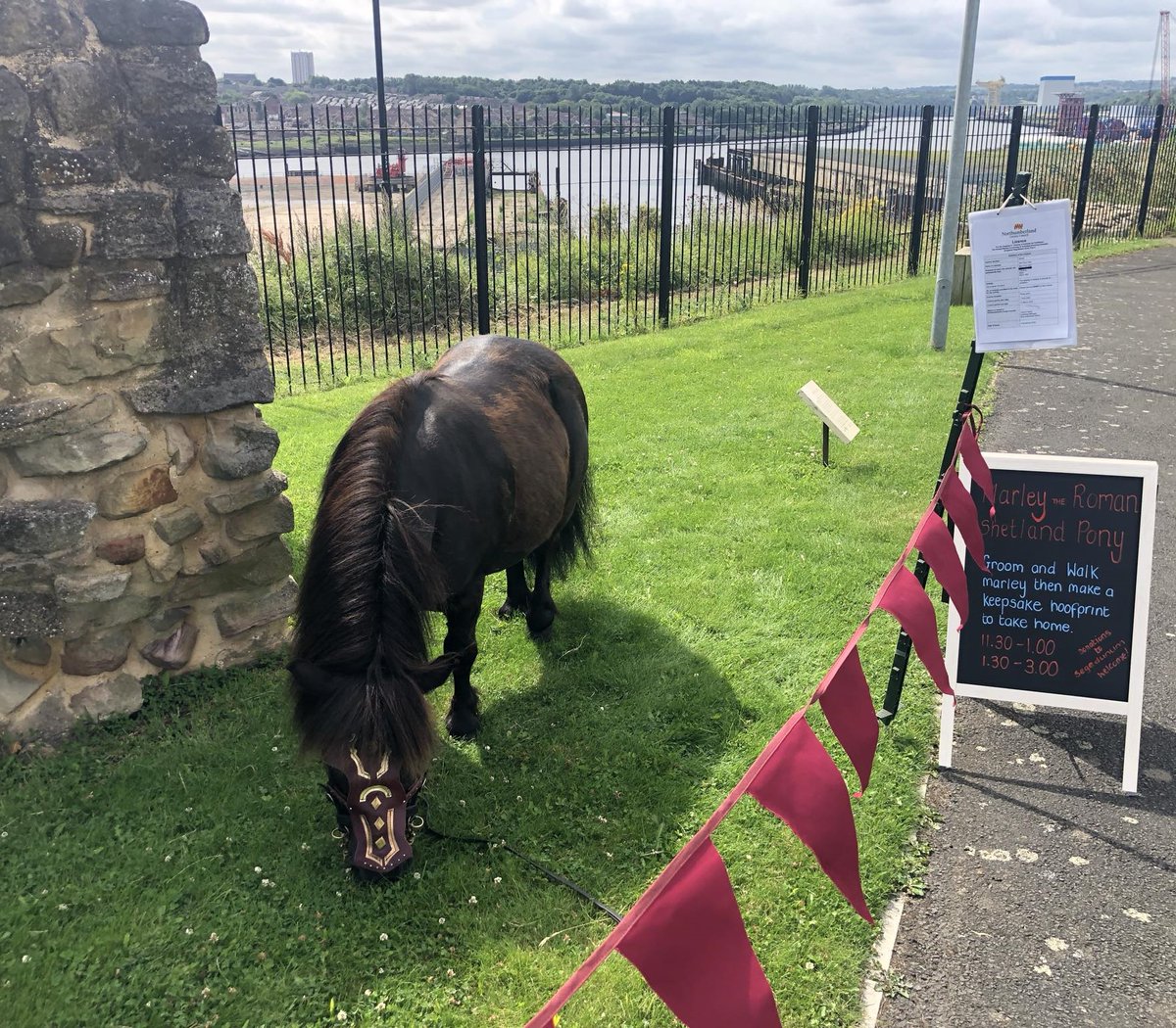 Fab day at Segedunum Roman Fort with Marley the Roman Pony! We met lots of lovely families who had come especially to see our boy to start off their school holidays &lt;3 #summer #roman #museum #fort #Wallsend #northtyneside #hadrianswall