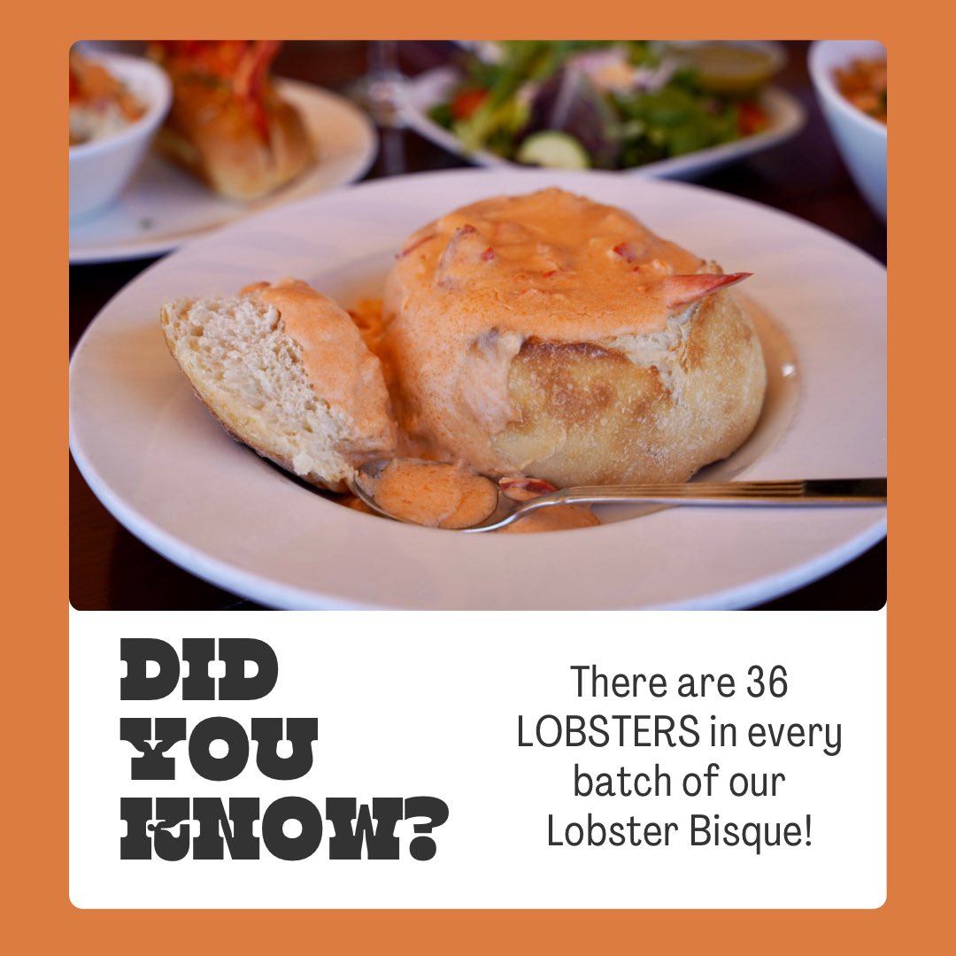 Boardwalkpib's tweet photo. Yes, it’s true! Stop by The Boardwalk for a cup or sourdough bread bowl of our Lobster 🦞 Bisque! You will not be disappointed!! #pib #putinbay #lakeerie #getthebisque https://t.co/SxuMHwC5f2