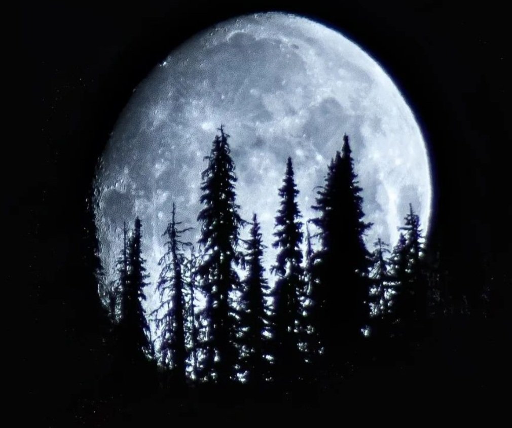 BeWonder_Full's tweet photo. Happy Moon Landing day 🌙! Today in the Summer of '69 we first set down on another world. I think this is my fav moon photo I've taken. The image was captured at @Manningpark.
#space #MoonDay https://t.co/wIzFfXBEGg