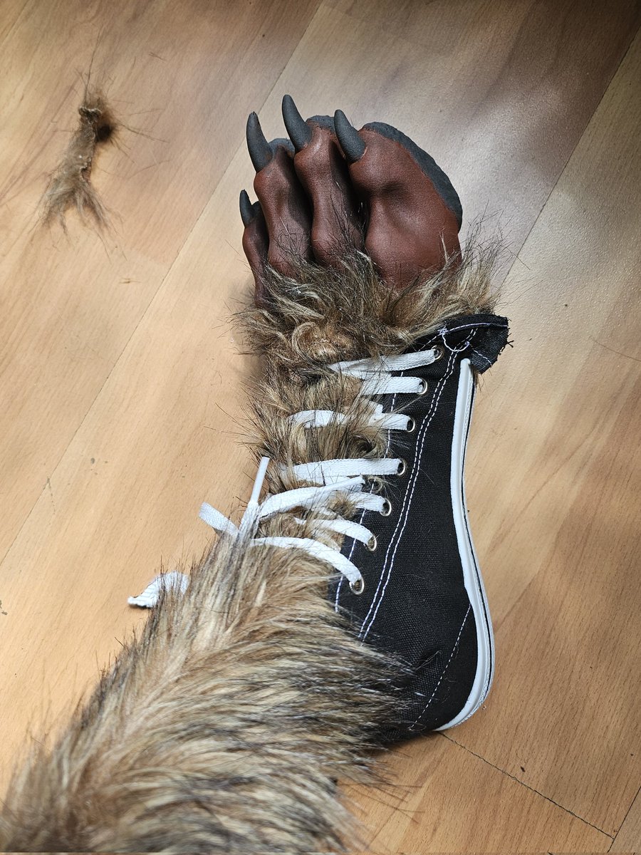 lobinez's tweet photo. Growing pains, a werewolf feet update. This is just a test, but I like this concept of paws bursting through shoes, surprisingly comfortable to walk with them. 

Toes will be matched in colors to the fur, and maybe gluing some fur to better match it. 

Any advice for doing that? https://t.co/HvpCCii4nc