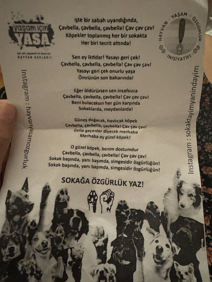 Çav bella’nın sokak hayvanları için uyarlanmış versiyonu
Ağzımıza dolansın ❤️ 
#GeriCekYasayi