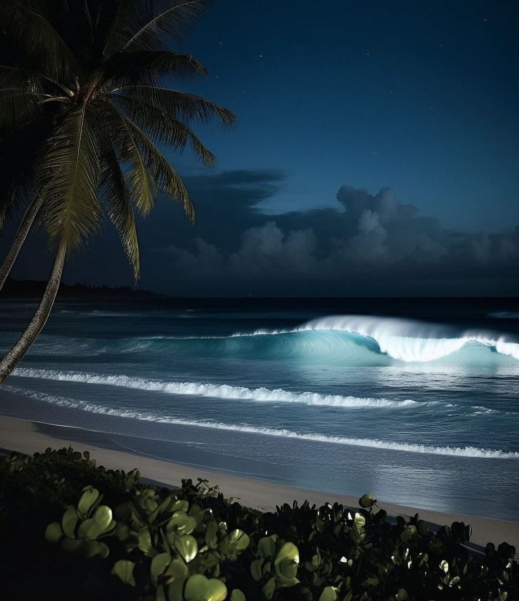 بحر 🌊 (@butterflless) on Twitter photo 