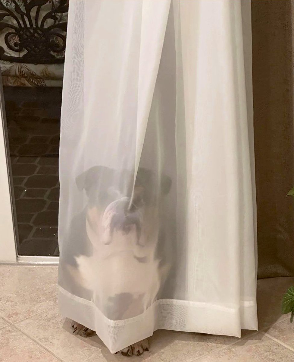 Hide and Seek Level: Expert