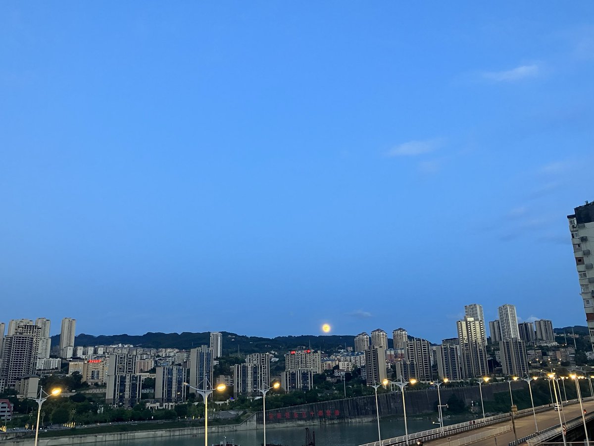 不二 tweet media