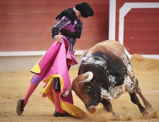Roca Rey pondrá su huella en el Paseo de Famosos de la Tauromaquia frente a la puerta grande de la Plaza de Toros de Roquetas de Mar este domingo, día 21 de julio, a las doce del mediodía. En sus actuaciones en Roquetas de Mar ha salido tres veces por la puerta grande.