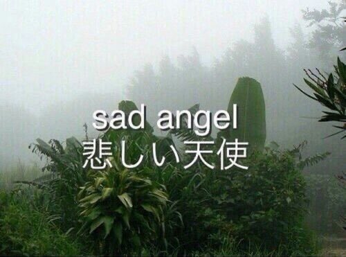 ` ' 優しさ a n i a . . tweet media